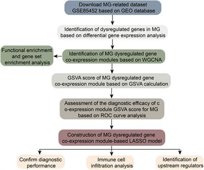 Transcriptional landscape of myasthenia gravis revealed by weighted gene coexpression network analysis